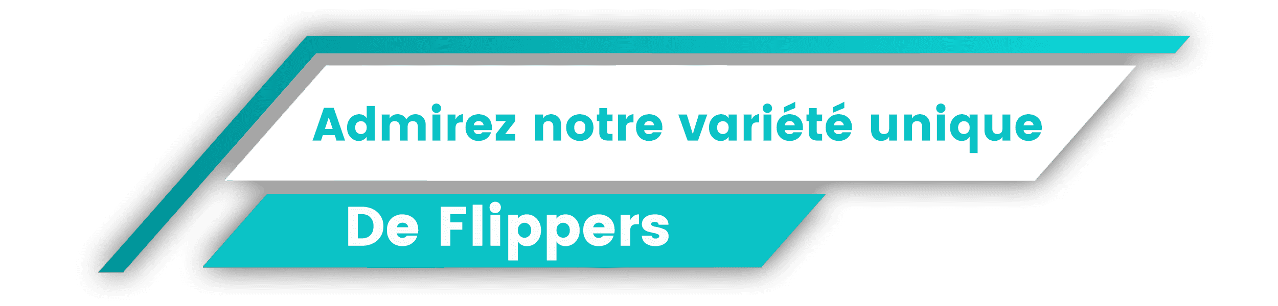 Multitude de flippers Multitude de flippers