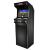 Borne d’Arcade Basic Carbon