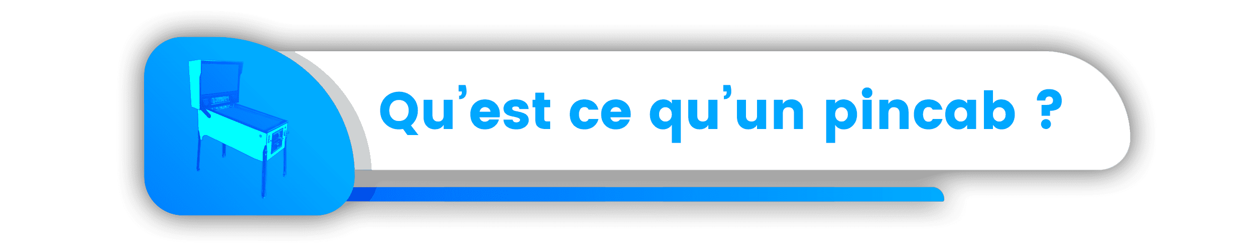 Pourquoi le Pincab existe