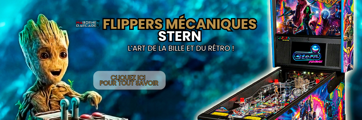 MBA_ToutSavoirFlipper MBA_ToutSavoirFlipper