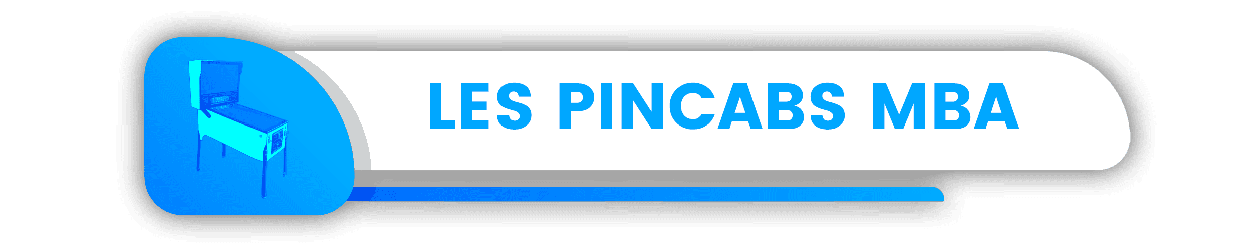 LES PINCABS MBA