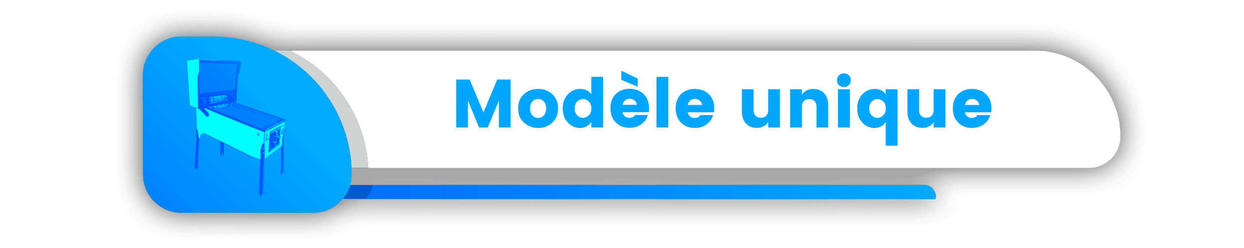 Un modèle unique